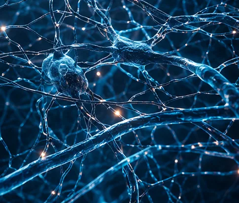 Illustration eines dichten neuronalen Netzwerks nach zwei Monaten mentalem Training